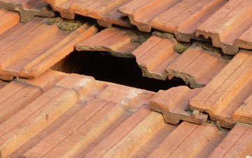 roof repair Stubbings Green, Suffolk